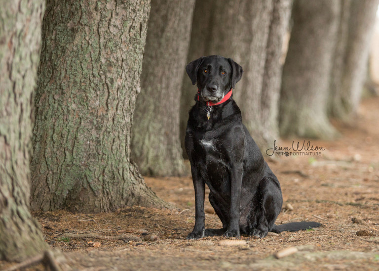 3A4A4821_jasper sneak peek