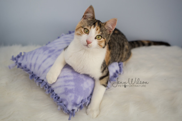 3A4A0161fb